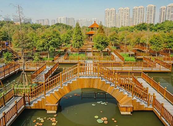 五緣灣濕地公園